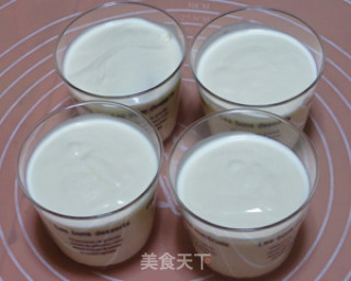 酸奶慕斯杯的做法步骤：9