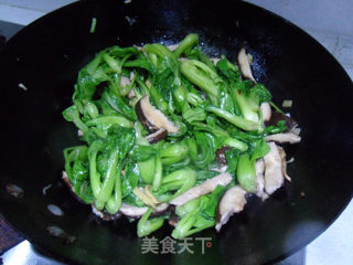 香菇烧菜心的做法步骤：7