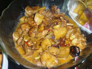 鸡肉炖土豆栗子的做法步骤：10