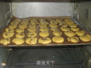 葡萄干饼干的做法步骤：9