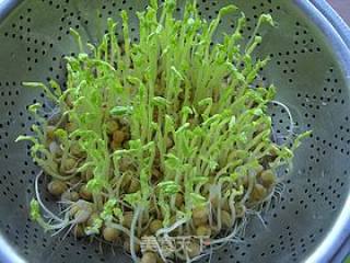 自发豌豆芽的做法步骤：7