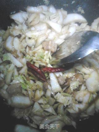 美味白菜炖冻豆腐的做法步骤：8