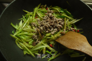 芹香野猪肉的做法步骤：7