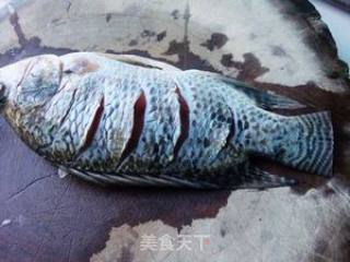 辣酱姜叶蒸鱼的做法步骤：1