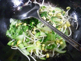 青菜炒黄豆芽的做法步骤：4