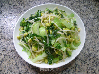 青菜炒黄豆芽的做法步骤：8