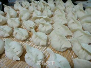 西葫芦鸡蛋水饺的做法步骤：7