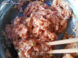 儿童创意菜谱---花朵肉末的做法步骤：4