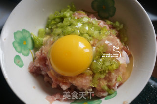白玉萝卜酿肉的做法步骤：5