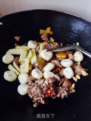 焖羊腿肉的做法步骤：8
