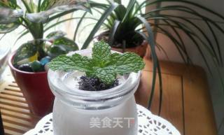 盆栽酸奶的做法步骤：7