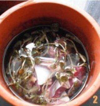 金线莲炖鸭肫的做法步骤：2