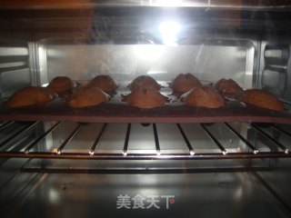 巧克力味玛德琳蛋糕的做法步骤：9