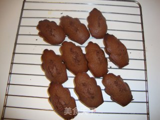 巧克力味玛德琳蛋糕的做法步骤：10