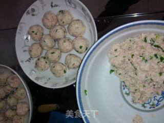 豆腐肉丸的做法步骤：3
