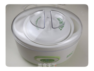 家庭自制 益生菌手工酸奶酪的做法步骤：5