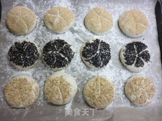 德式燕麦早餐包---皇帝的面包的做法步骤：8