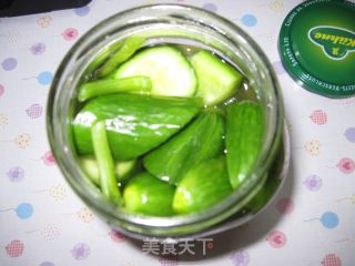 懒人俄式酸黄瓜的做法步骤：4