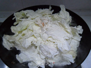 白菜炖豆腐的做法步骤：10