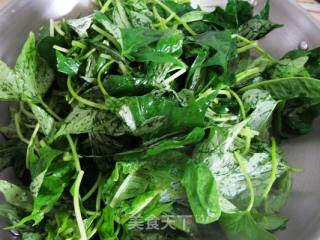 排毒功能强劲之（1） --- 蒜蓉地瓜叶的做法步骤：4