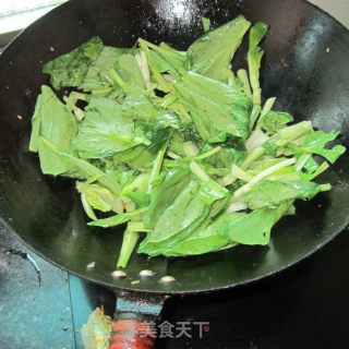 小炒小白菜的做法步骤：3