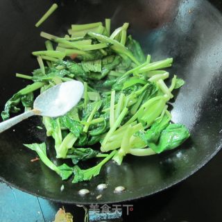 小炒小白菜的做法步骤：4