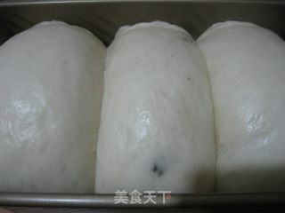 【黑提甜吐司】---中种冷藏发酵的做法步骤：18