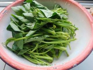 椒油芝麻空心菜的做法步骤：1