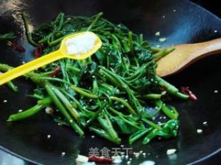 椒油芝麻空心菜的做法步骤：7