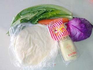 蔬菜沙拉春卷的做法步骤：1