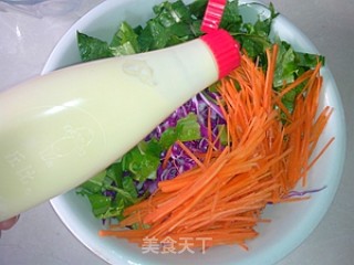 蔬菜沙拉春卷的做法步骤：6