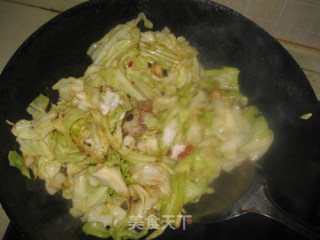简单实惠下饭菜【手撕包菜】的做法步骤：10