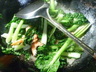 虾肉炒塔苦菜的做法步骤：5