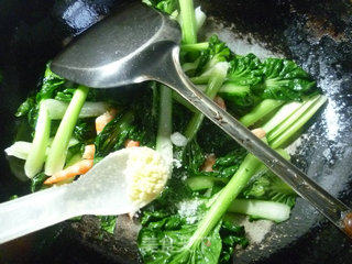 虾肉炒塔苦菜的做法步骤：7