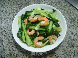 虾肉炒塔苦菜的做法步骤：9