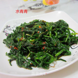 拌韭菜的做法步骤：9