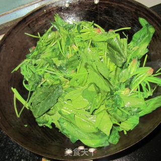 猪油炒菠菜的做法步骤：6