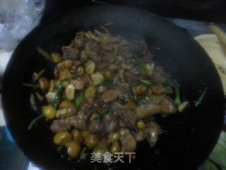 板栗焖鸡的做法步骤：7