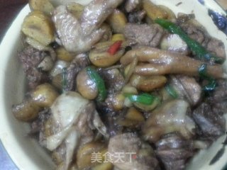 板栗焖鸡的做法步骤：8