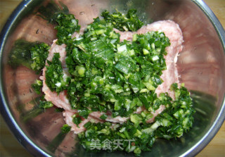 【迷你肉饼】换个花样吃饺子的做法步骤：5