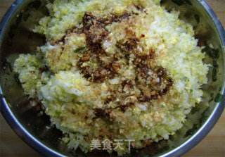 【迷你肉饼】换个花样吃饺子的做法步骤：8