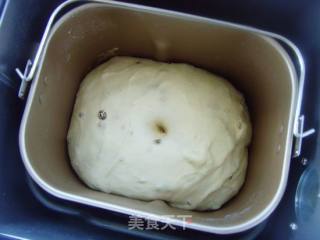 黑提燕麦吐司的做法步骤：6