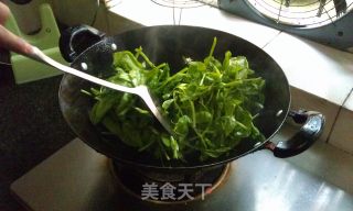 豌豆苗炒木耳的做法步骤：3