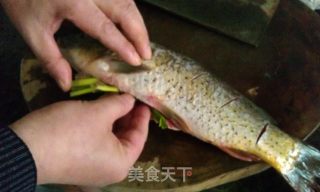 跳水鱼的做法步骤：2