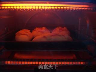 蛋黄肉松面包的做法步骤：10