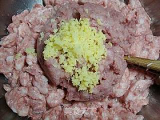 湖北名菜------【黄陂肉糕】的做法步骤：10