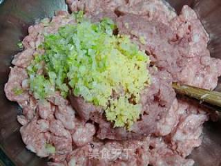 湖北名菜------【黄陂肉糕】的做法步骤：11