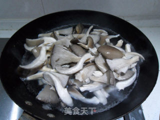 烧平菇的做法步骤：2