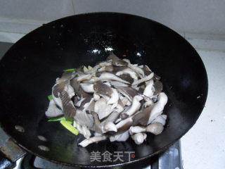 烧平菇的做法步骤：5