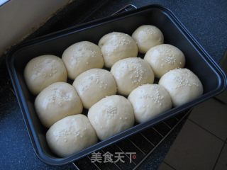 原味小排包的做法步骤：3